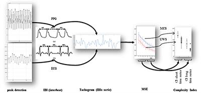 A Heartbeat Away From Consciousness: Heart Rate Variability Entropy Can Discriminate Disorders of Consciousness and Is Correlated With Resting-State fMRI Brain Connectivity of the Central Autonomic Network